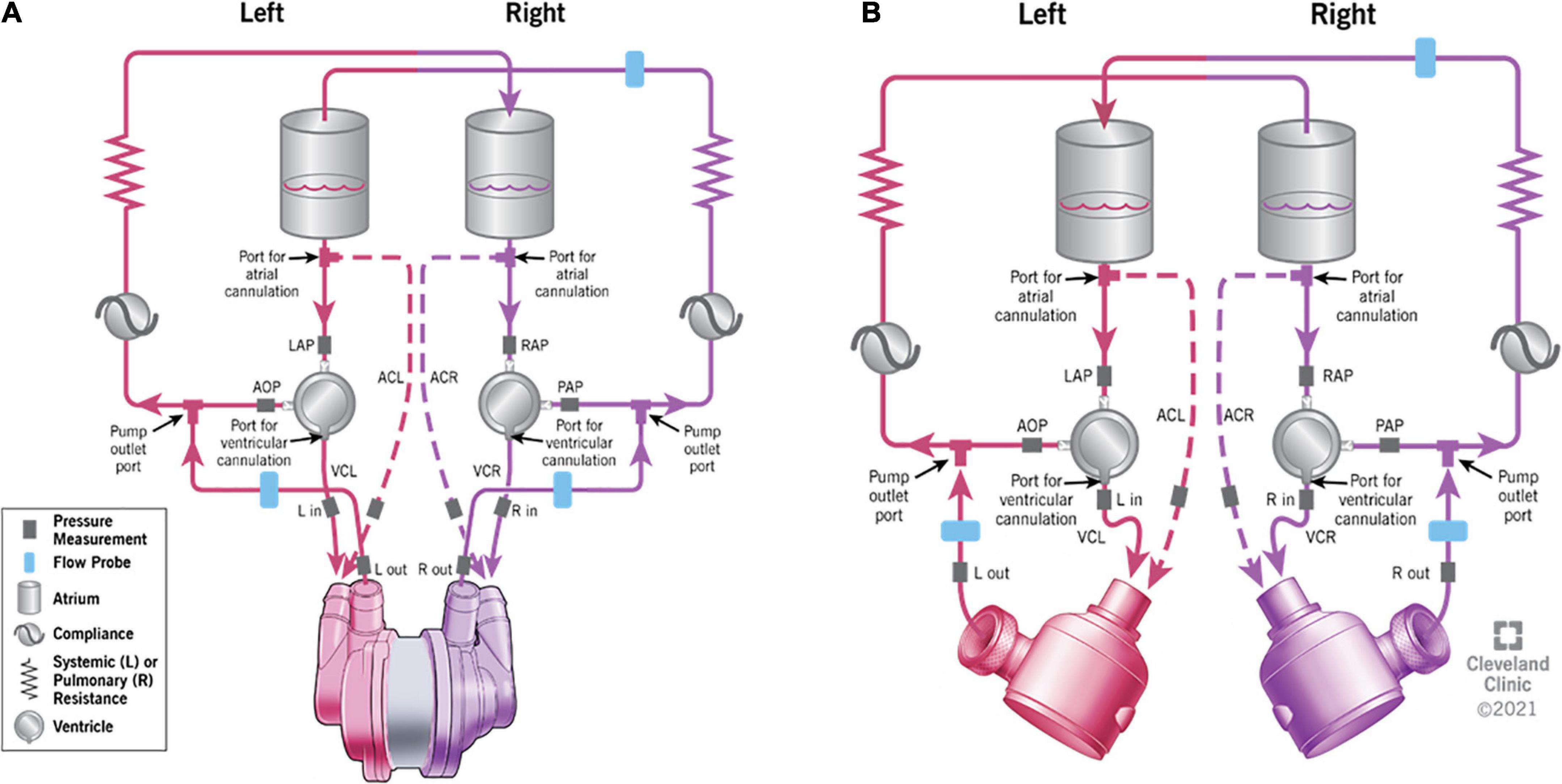 Biventricular circulatory support using single-device and dual-device configurations: Initial pump characterization in simulated heart failure model